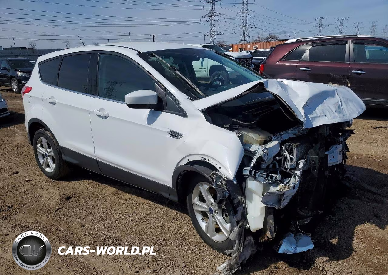2014 Ford Escape Se VIN:1FMCU9GX1EUD44618 - 4