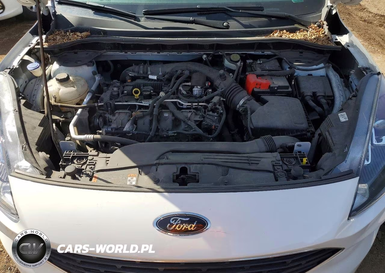 2022 Ford Escape Sel VIN:1FMCU9H90NUA11276 - 10