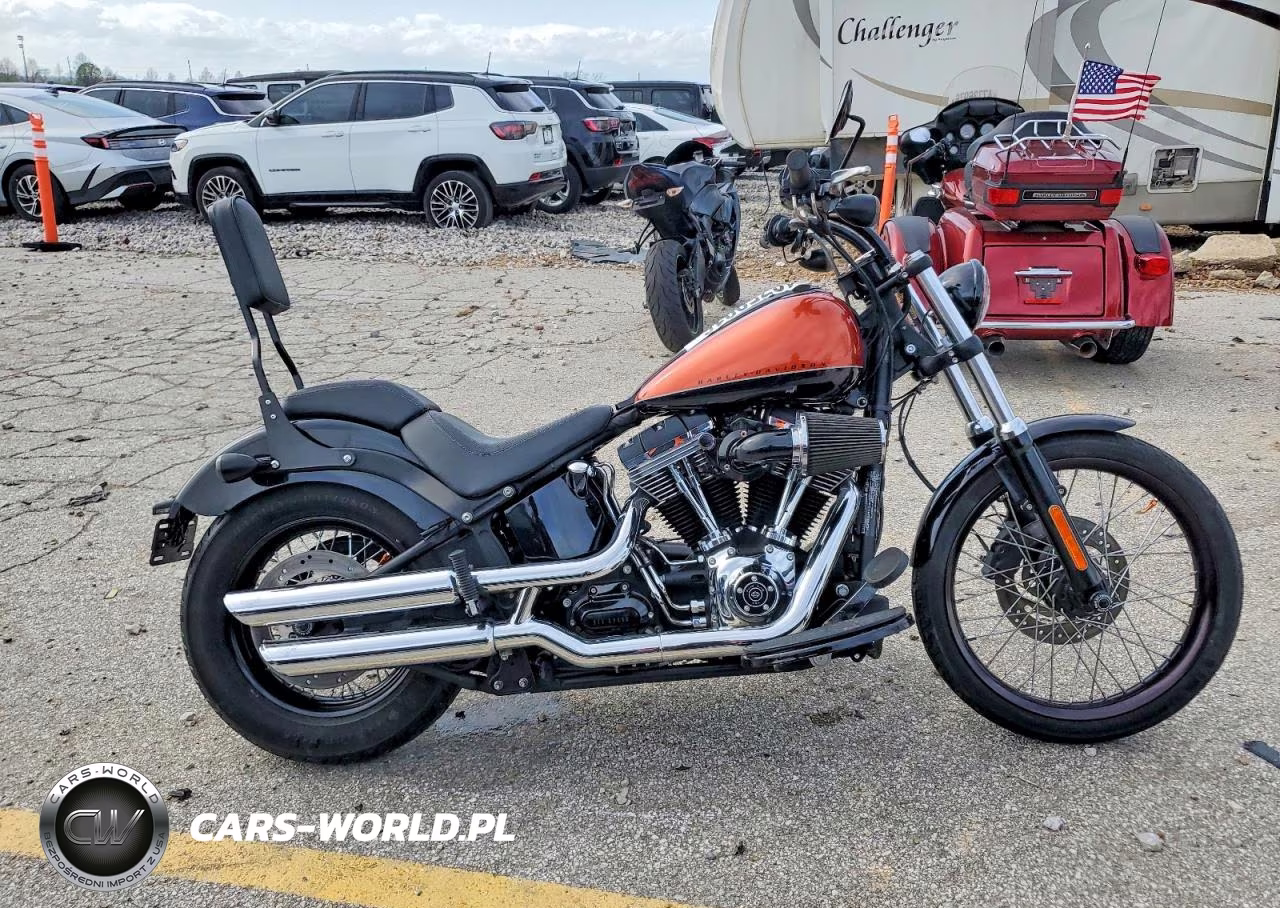 2011 Harley-Davidson Fxs