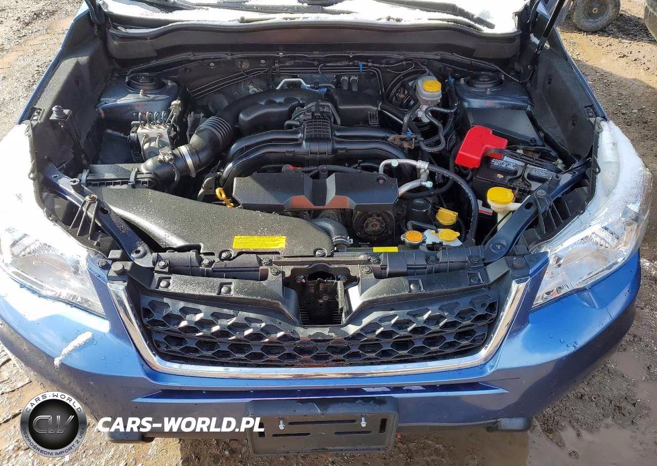 2016 Subaru Forester 2.5I Limited VIN:JF2SJAKC4GH558661 - 12