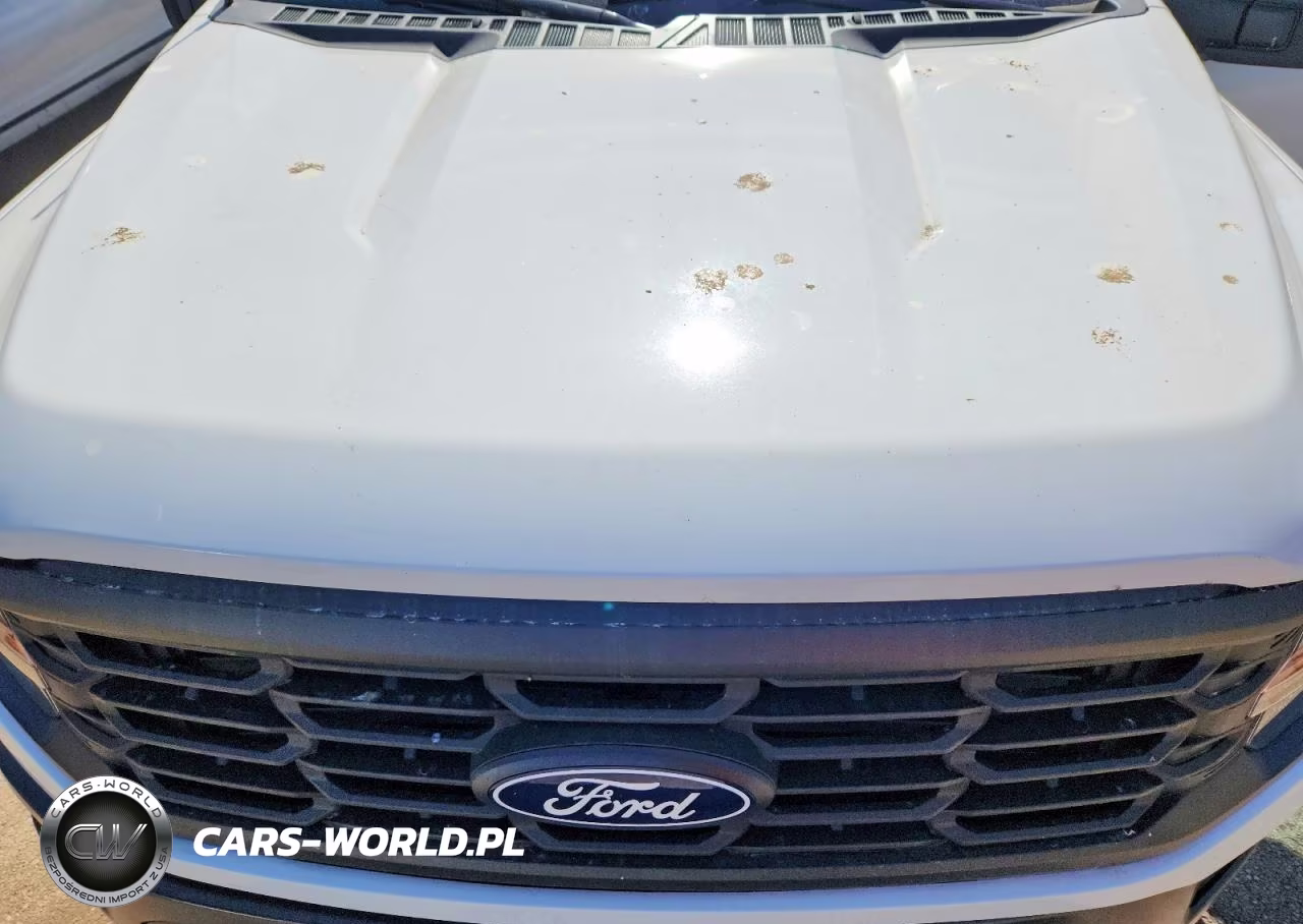 2025 Ford F150 Xl VIN:1FTFX1L83SKD05710 - 11