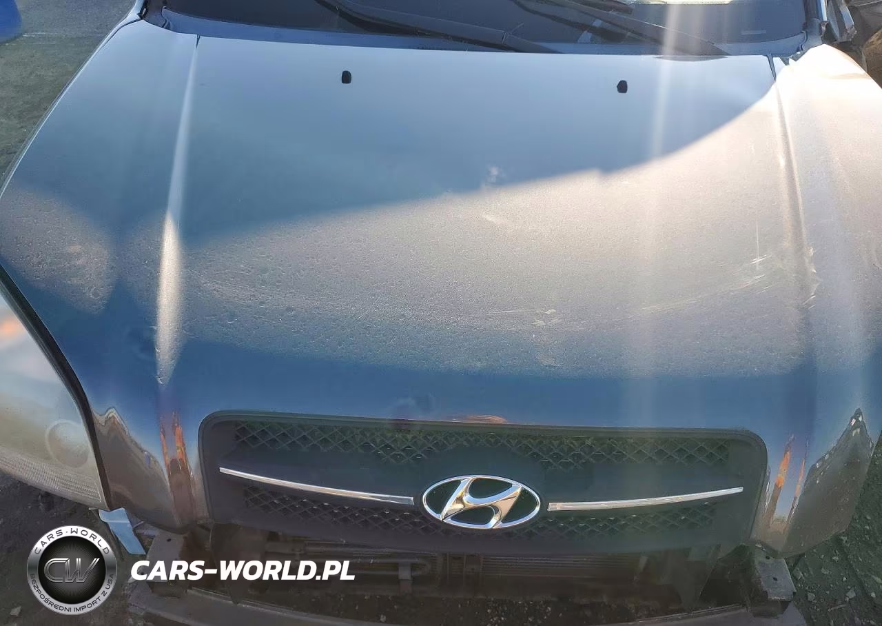 2007 Hyundai Tucson Gls VIN:KM8JM12B37U633393 - 12