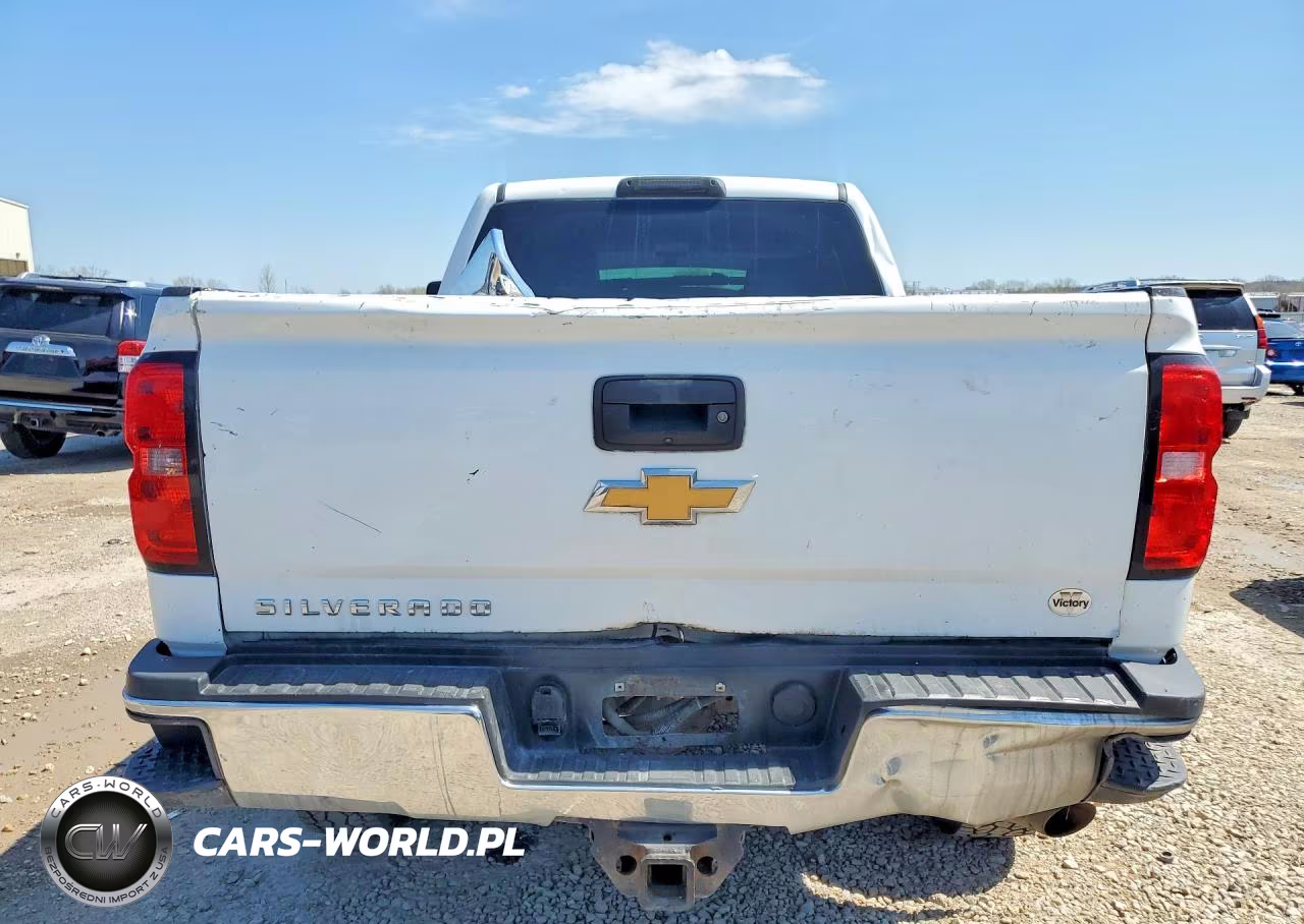 2019 Chevrolet Silverado K2500 Heavy Duty VIN:2GC2KREG7K1213466 - 6