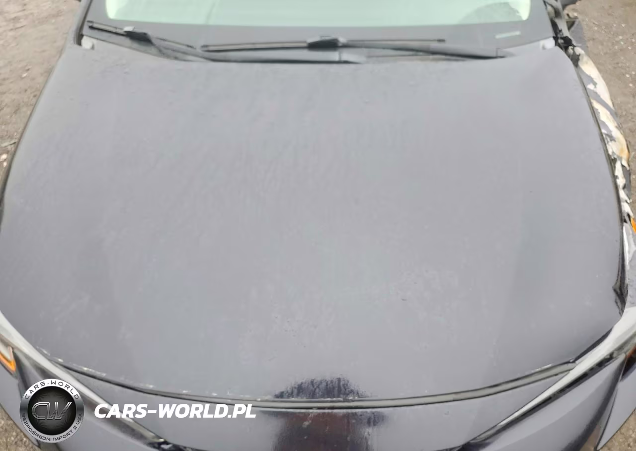2020 Toyota Corolla Le VIN:5YFEPRAE1LP124739 - 11