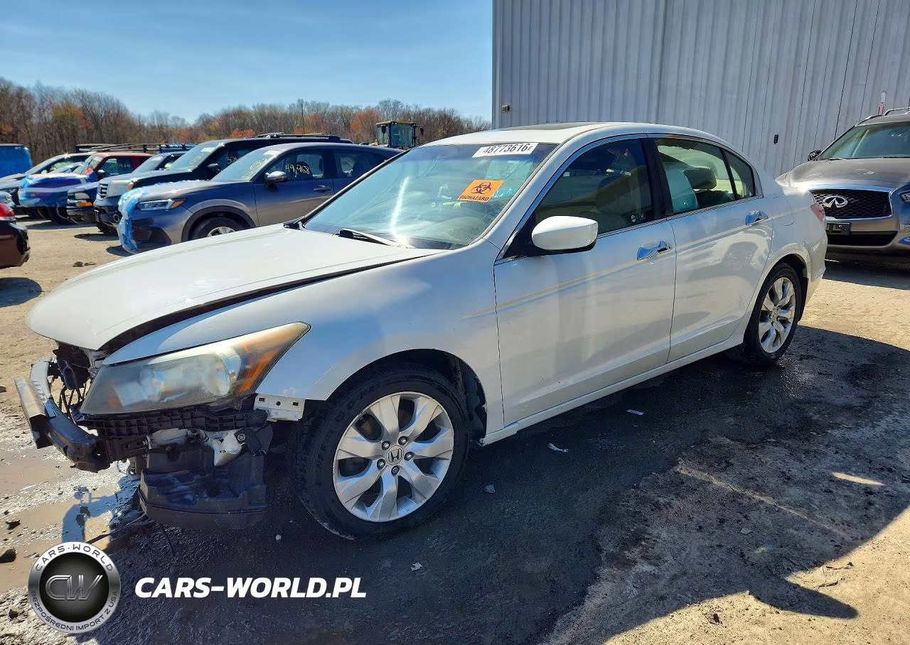 2010 Honda Accord Exl