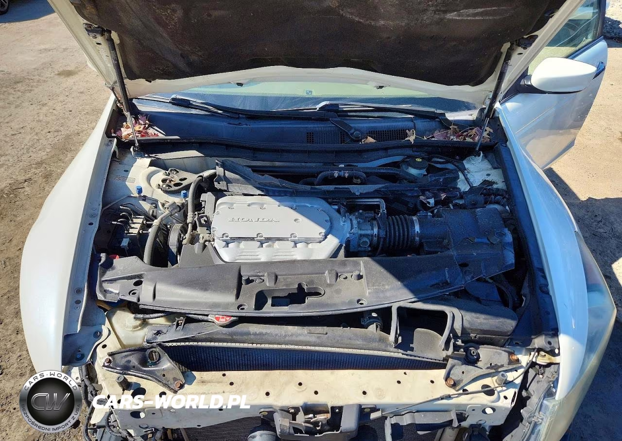 2010 Honda Accord Exl VIN:1HGCP3F85AA016795 - 11