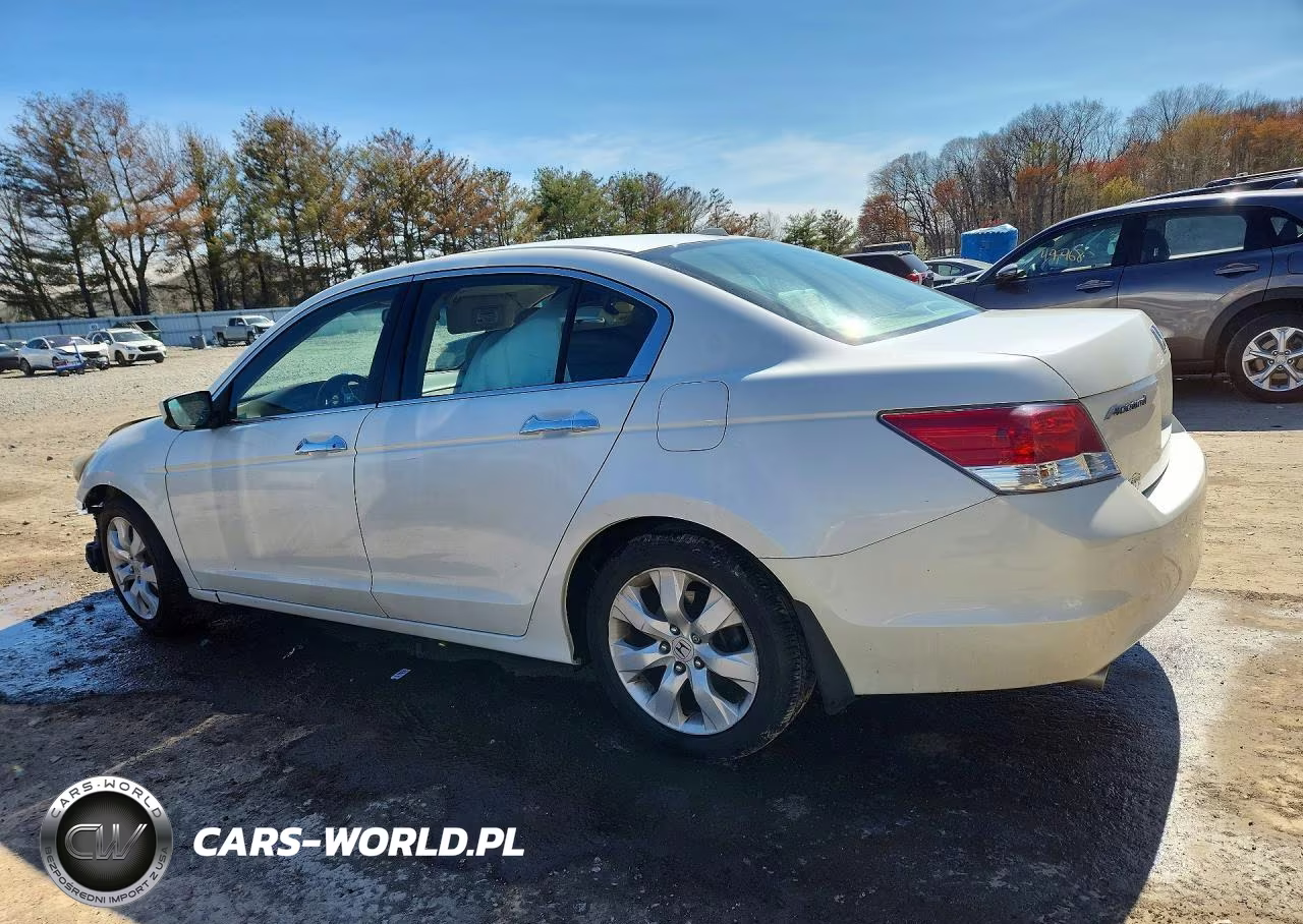 2010 Honda Accord Exl VIN:1HGCP3F85AA016795 - 2