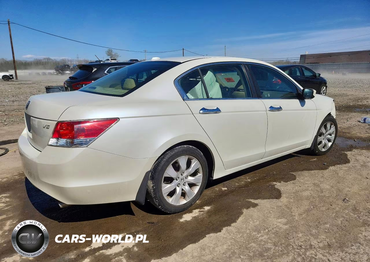 2010 Honda Accord Exl VIN:1HGCP3F85AA016795 - 3