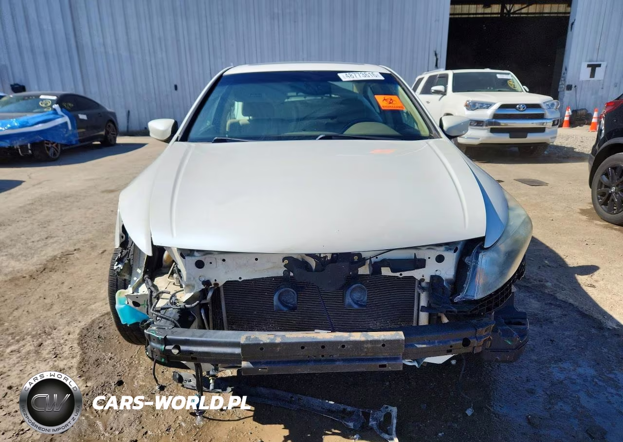 2010 Honda Accord Exl VIN:1HGCP3F85AA016795 - 5