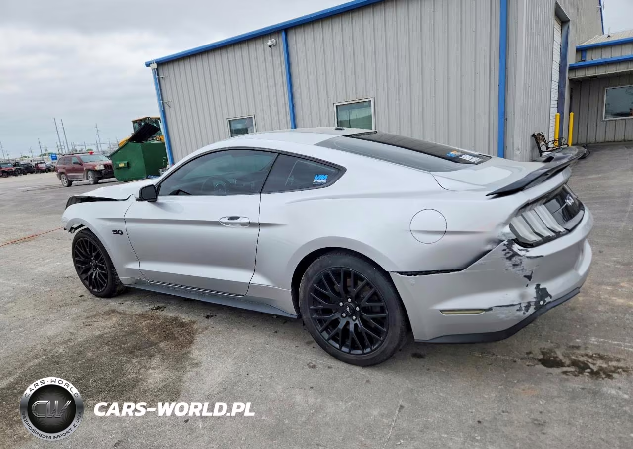 2019 Ford Mustang Gt VIN:1FA6P8CF1K5174756 - 2