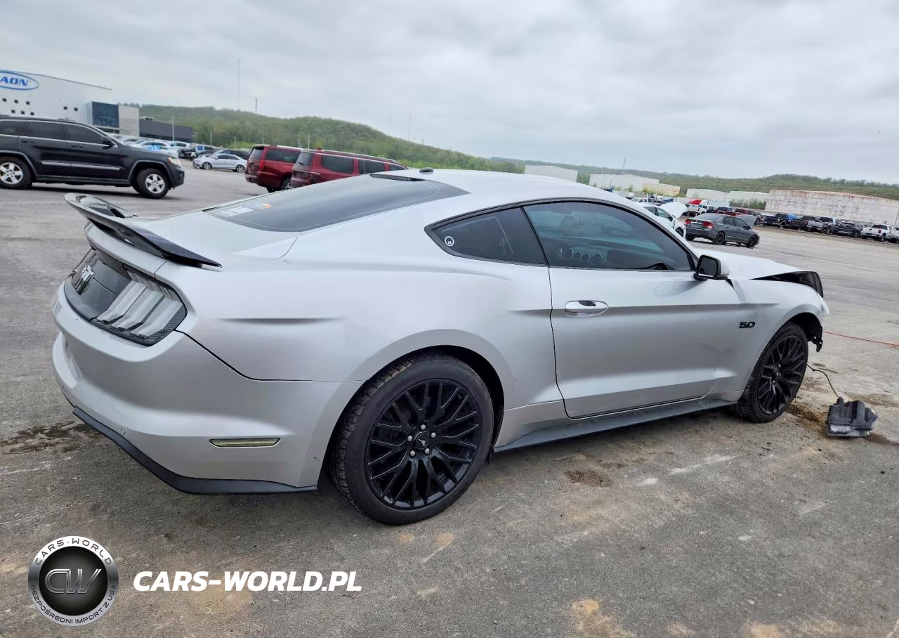 2019 Ford Mustang Gt VIN:1FA6P8CF1K5174756 - 3