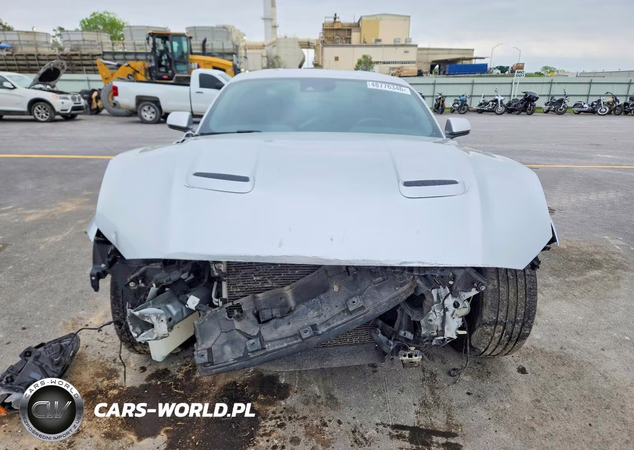 2019 Ford Mustang Gt VIN:1FA6P8CF1K5174756 - 5