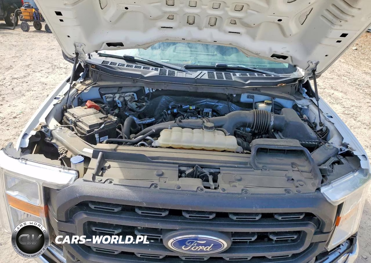 2021 Ford F150 VIN:1FTMF1CP5MKD89002 - 11