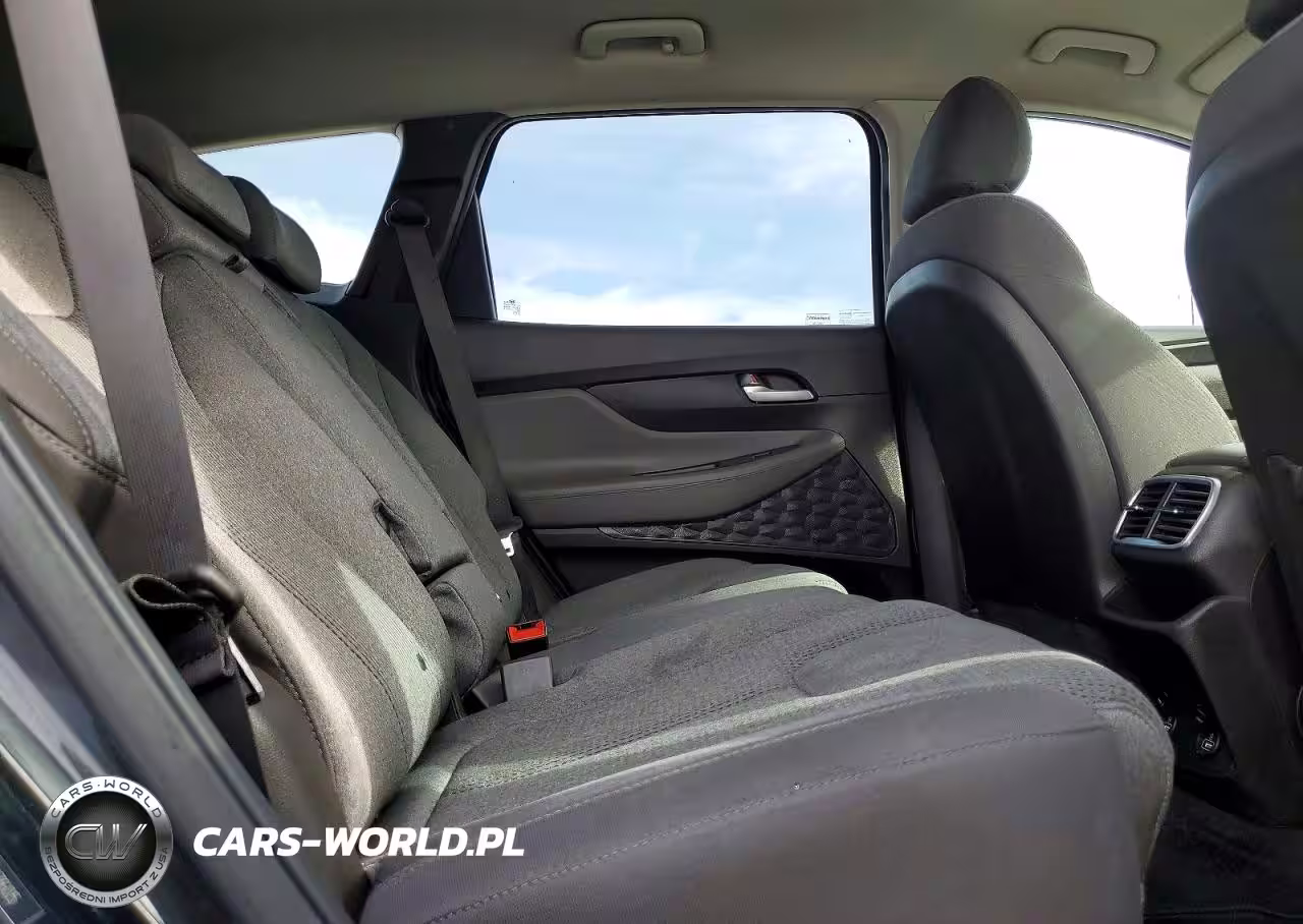 2020 Hyundai Santa Fe Sel VIN:5NMS33AD8LH267605 - 10