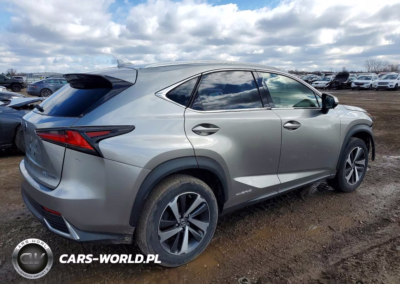2018 Lexus Nx 300H Base VIN:JTJBJRBZ0J2088606 - 3