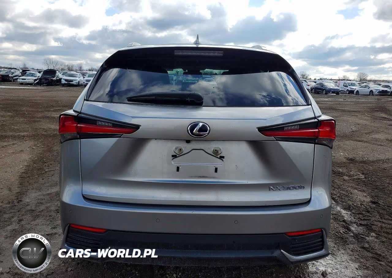 2018 Lexus Nx 300H Base VIN:JTJBJRBZ0J2088606 - 6