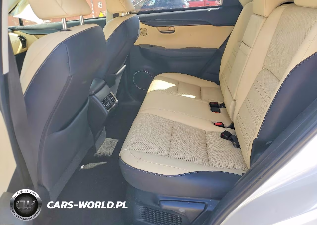 2018 Lexus Nx 300H Base VIN:JTJBJRBZ9J2088412 - 11