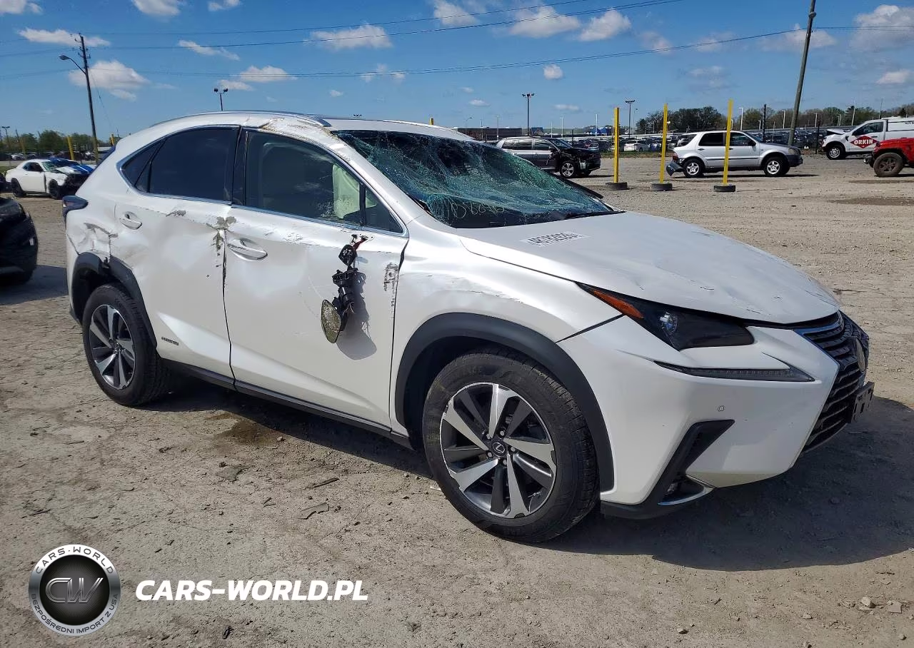 2018 Lexus Nx 300H Base VIN:JTJBJRBZ9J2088412 - 4