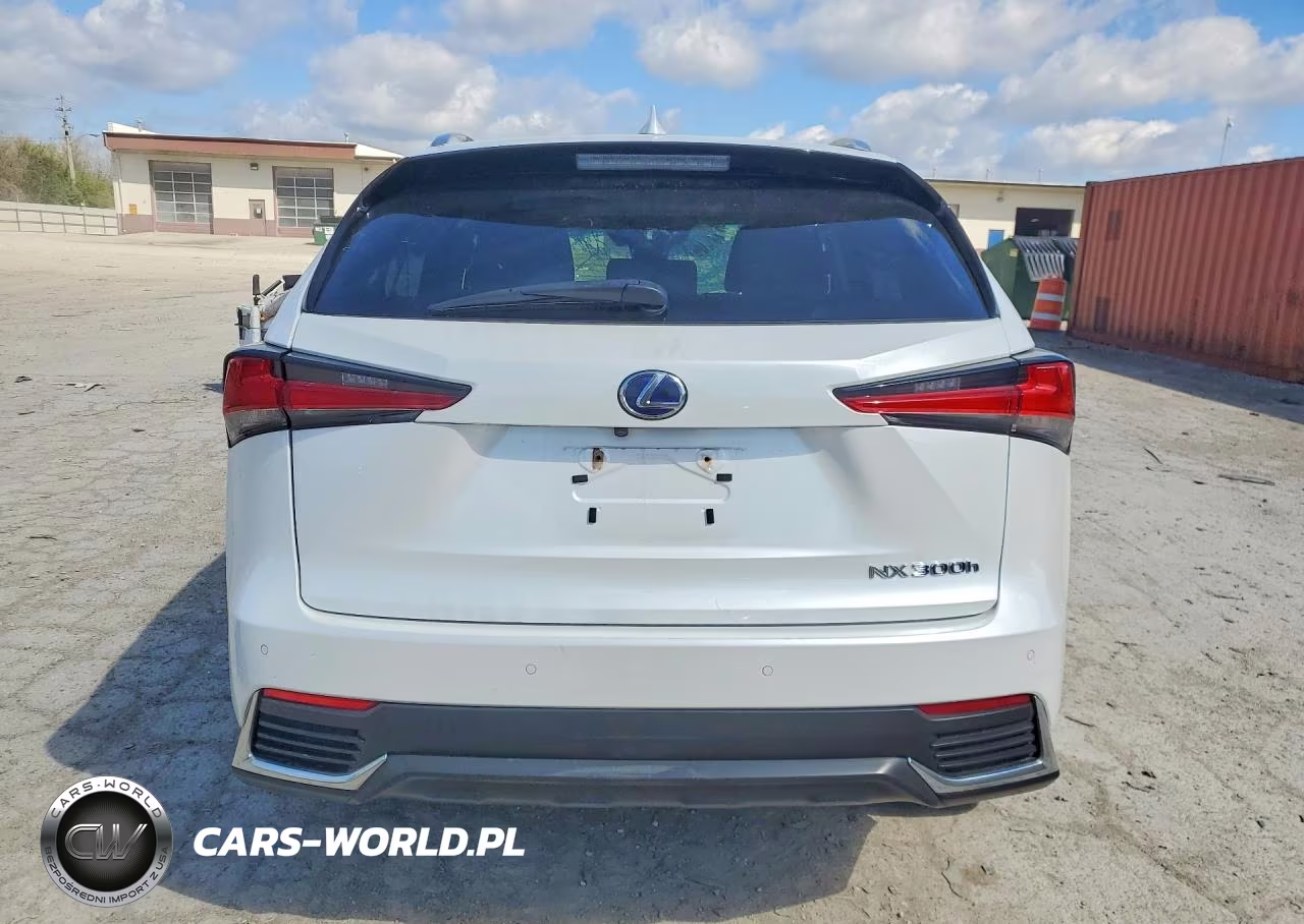 2018 Lexus Nx 300H Base VIN:JTJBJRBZ9J2088412 - 6