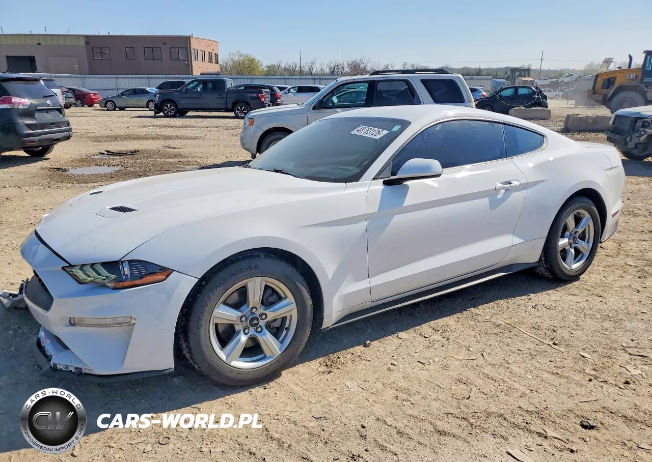 2019 Ford Mustang