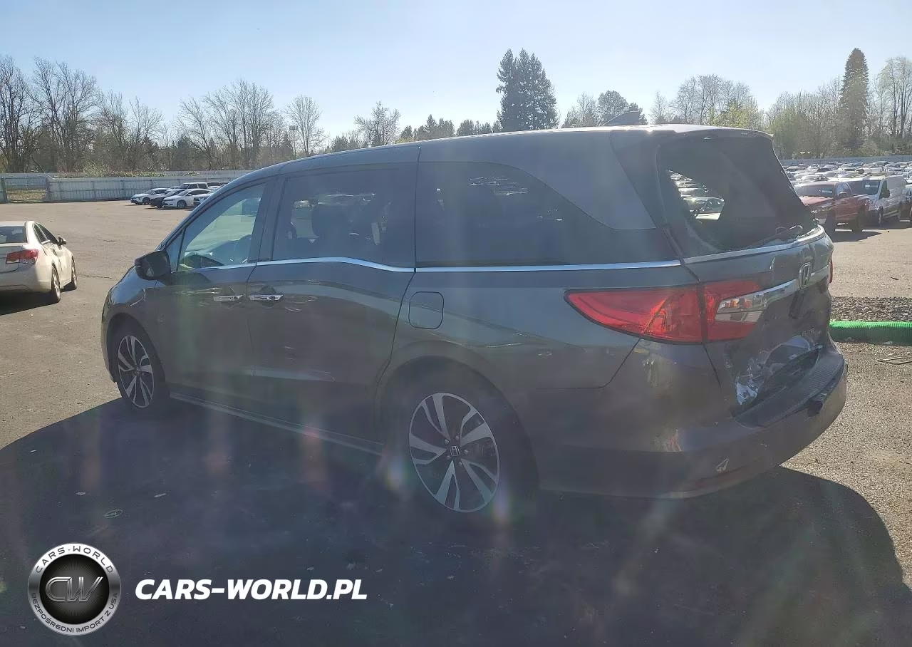 2019 Honda Odyssey Elite VIN:5FNRL6H90KB025800 - 2