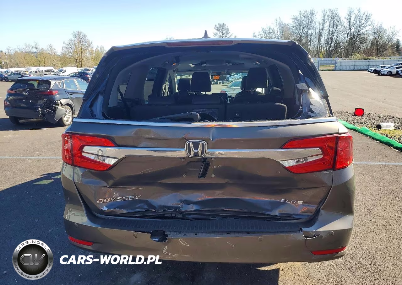 2019 Honda Odyssey Elite VIN:5FNRL6H90KB025800 - 6