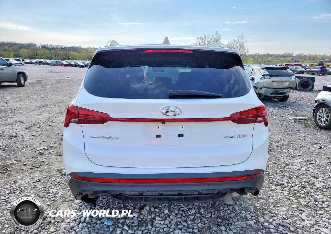2022 Hyundai Santa Fe Hybrid Limited VIN:KM8S5DA10NU051289 - 6