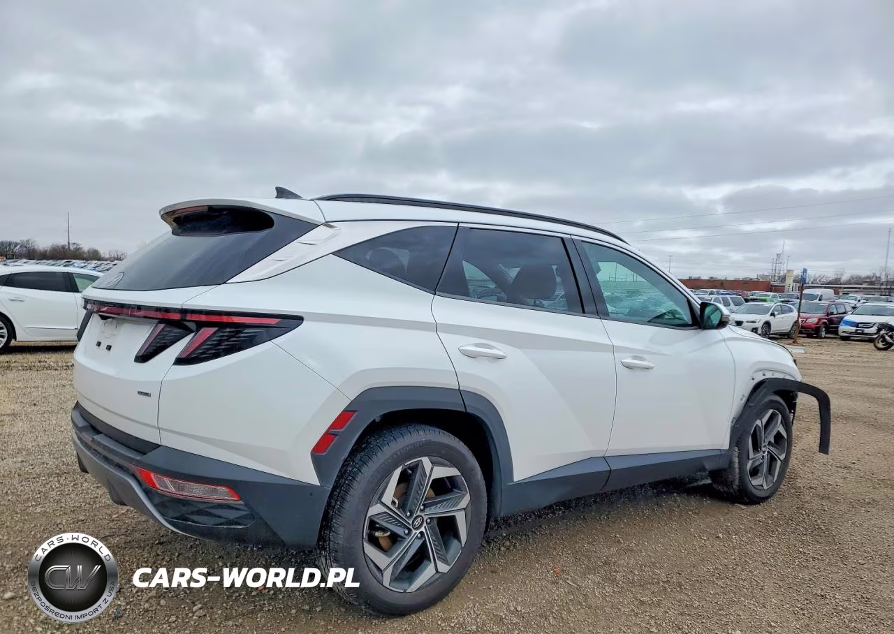 2022 Hyundai Tucson Limited VIN:5NMJECAE2NH066591 - 3