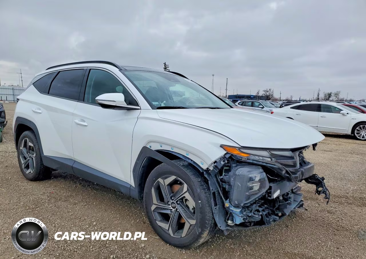 2022 Hyundai Tucson Limited VIN:5NMJECAE2NH066591 - 4