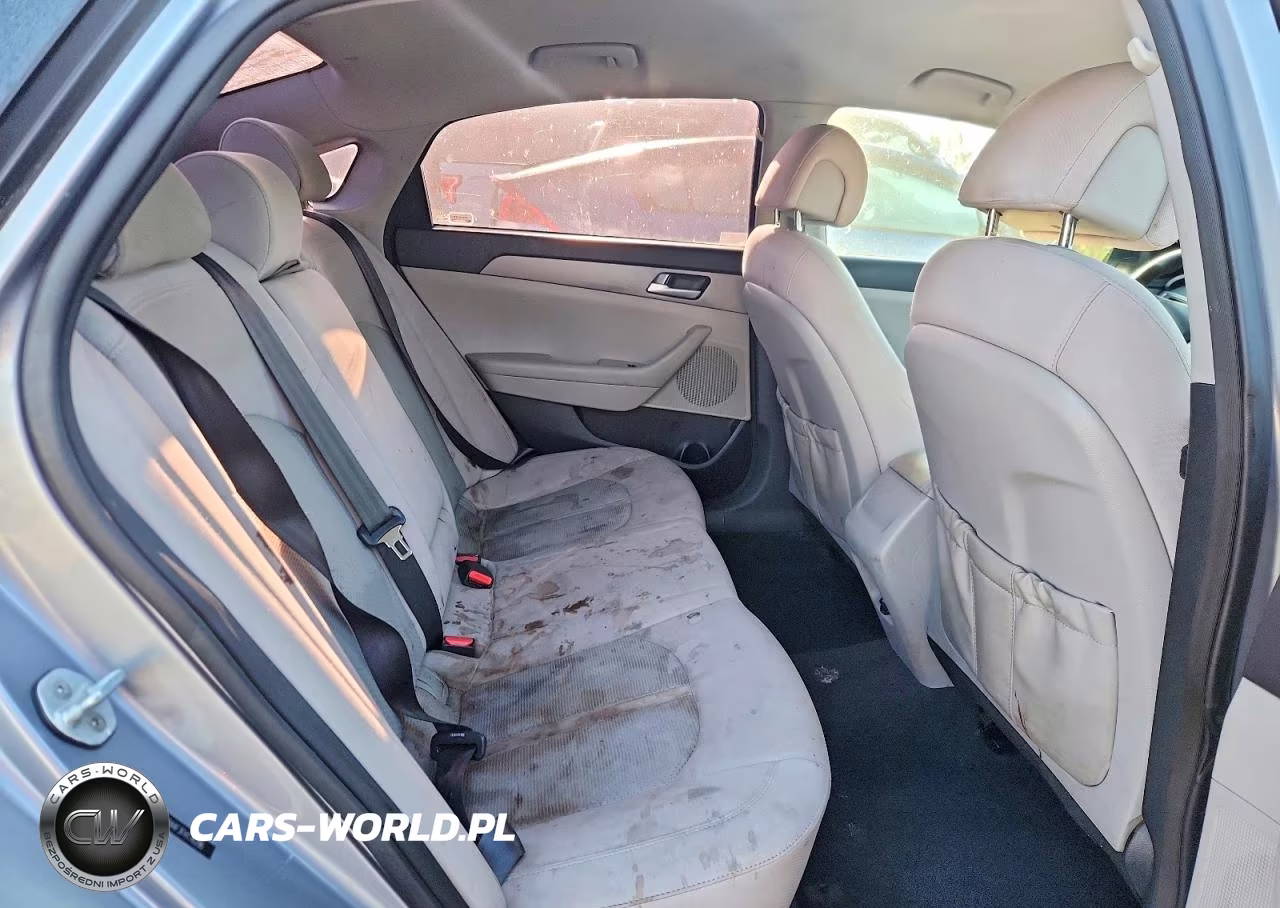 2015 Hyundai Sonata Se VIN:5NPE24AF3FH176286 - 10