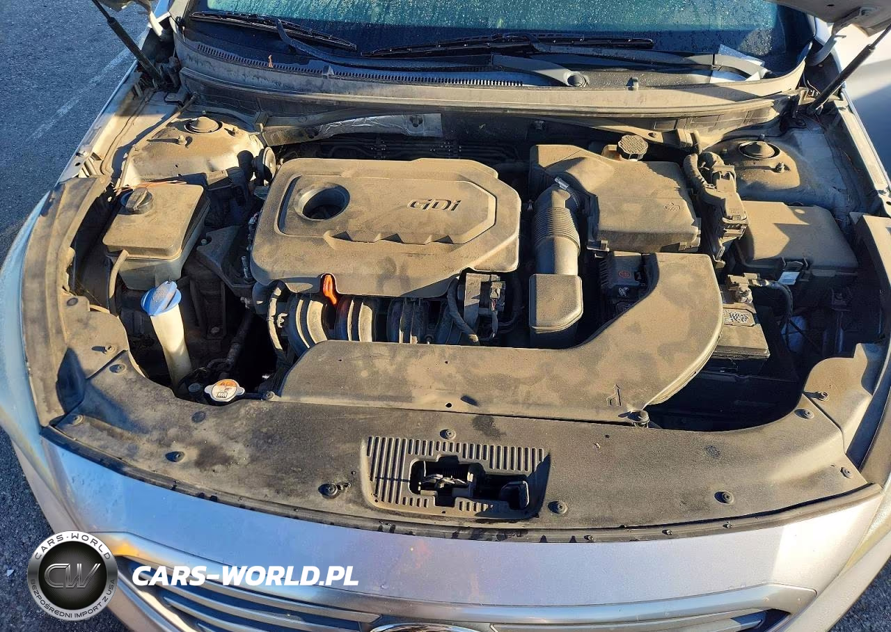 2015 Hyundai Sonata Se VIN:5NPE24AF3FH176286 - 11