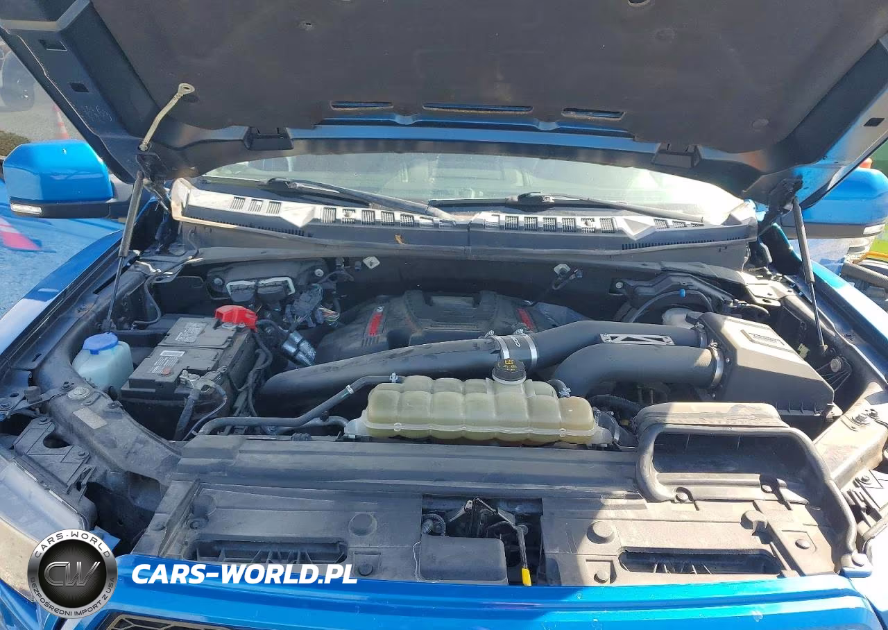 2020 Ford F150 Raptor VIN:1FTFW1RG0LFA15288 - 11