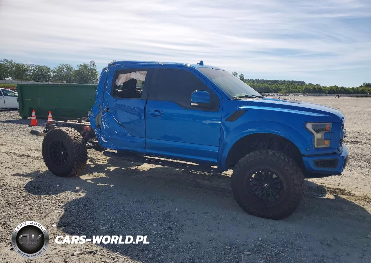 2020 Ford F150 Raptor VIN:1FTFW1RG0LFA15288 - 4