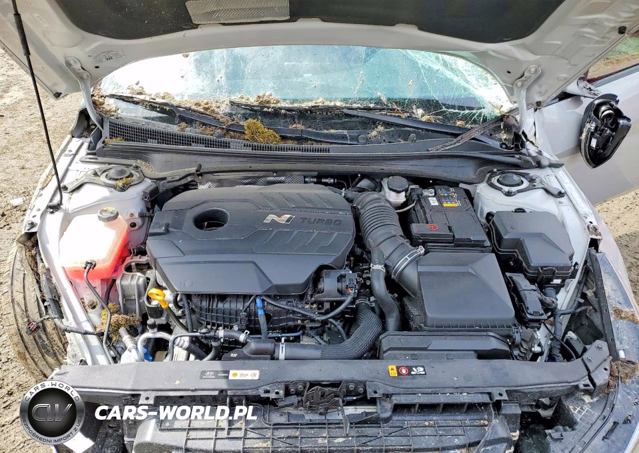 2023 Hyundai Elantra N Base VIN:KMHLW4AK8PU018828 - 11
