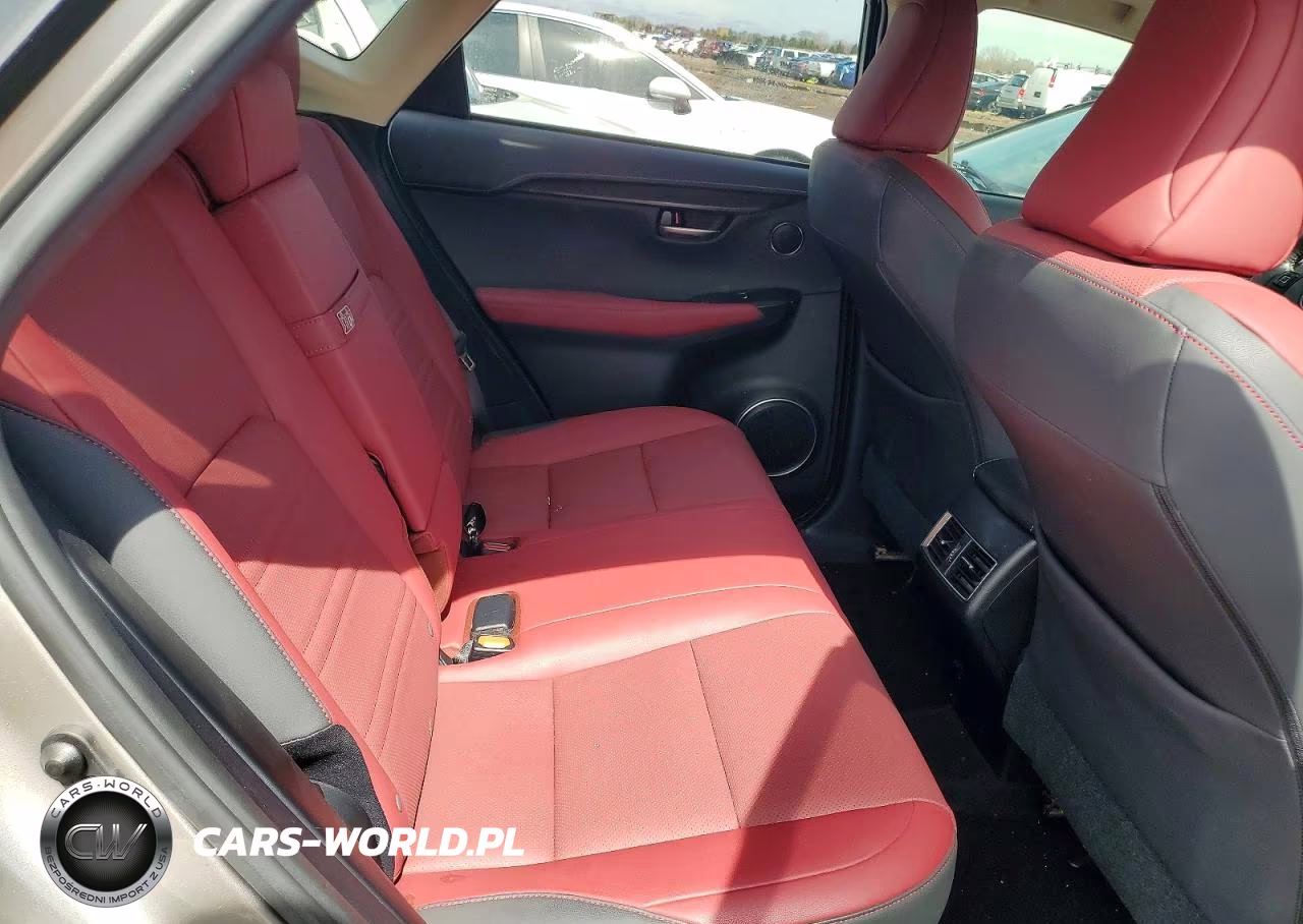 2020 Lexus Nx VIN:JTJGJRDZXL5000178 - 10