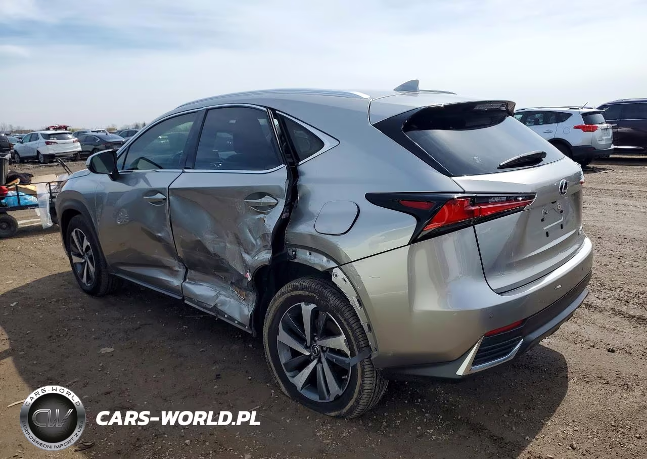 2020 Lexus Nx VIN:JTJGJRDZXL5000178 - 2