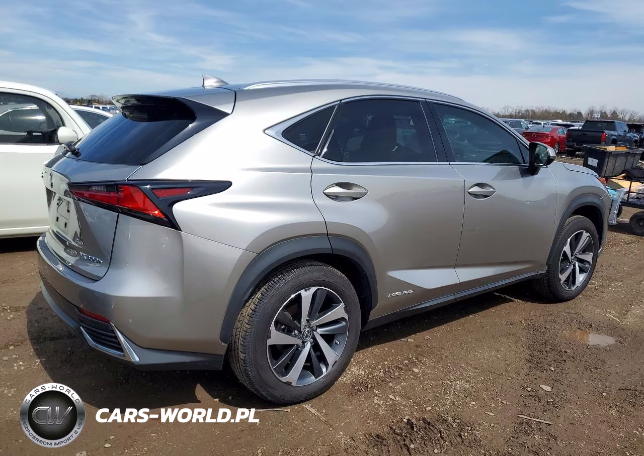 2020 Lexus Nx VIN:JTJGJRDZXL5000178 - 3