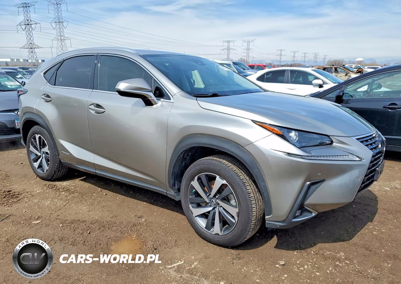 2020 Lexus Nx VIN:JTJGJRDZXL5000178 - 4