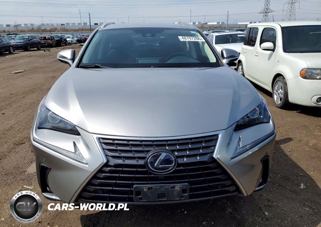 2020 Lexus Nx VIN:JTJGJRDZXL5000178 - 5
