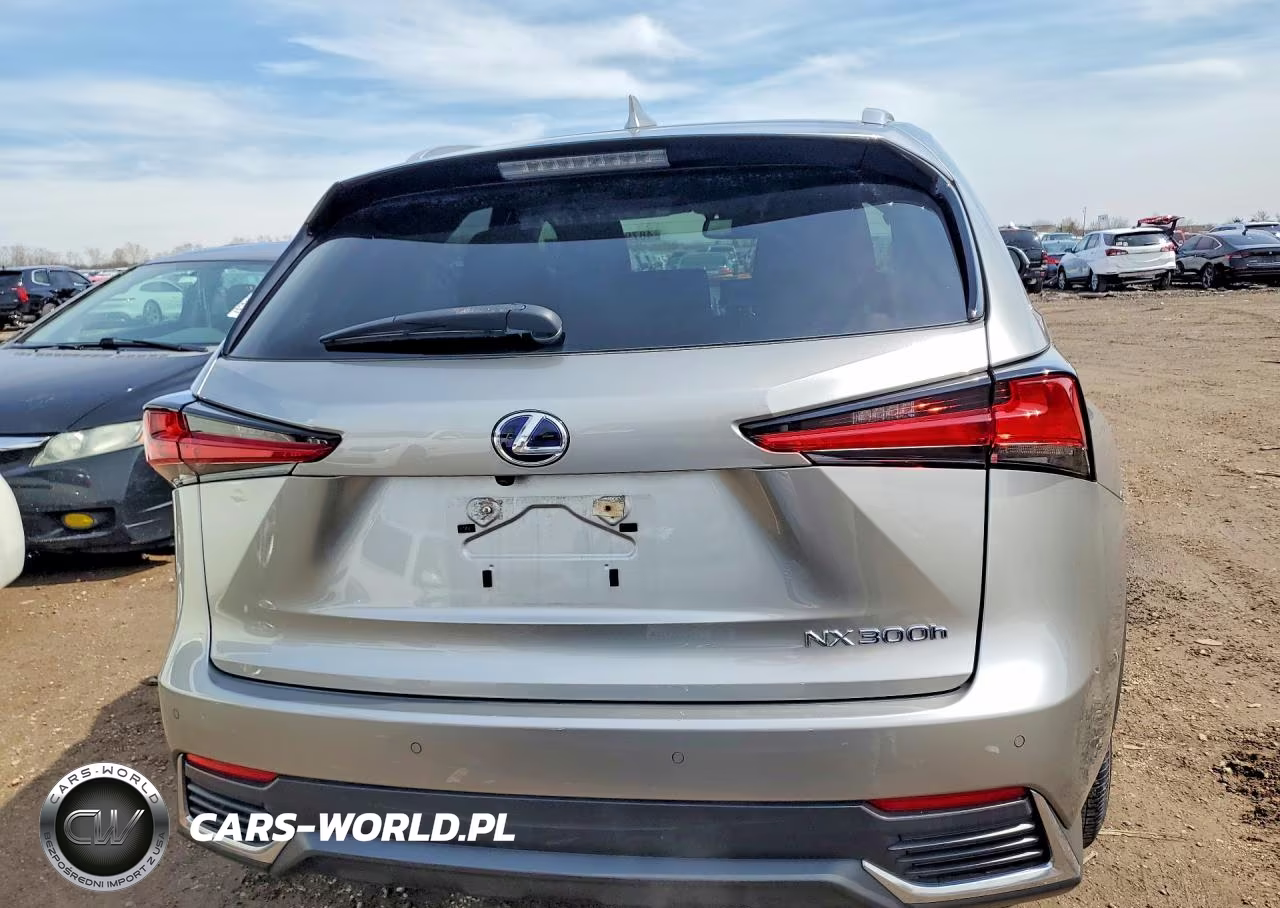 2020 Lexus Nx VIN:JTJGJRDZXL5000178 - 6