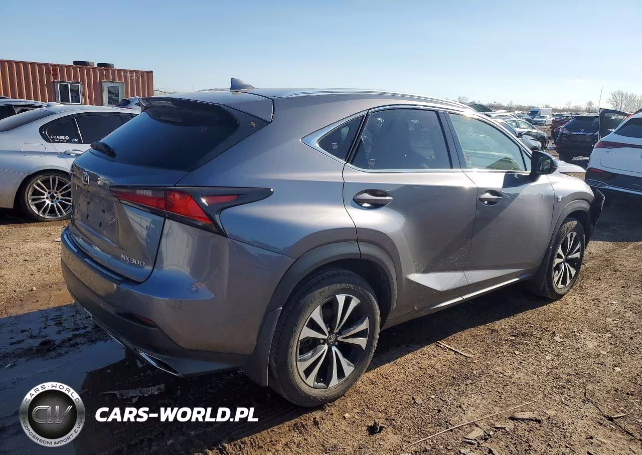 2018 Lexus Nx 300 Base VIN:JTJBARBZ3J2152752 - 3