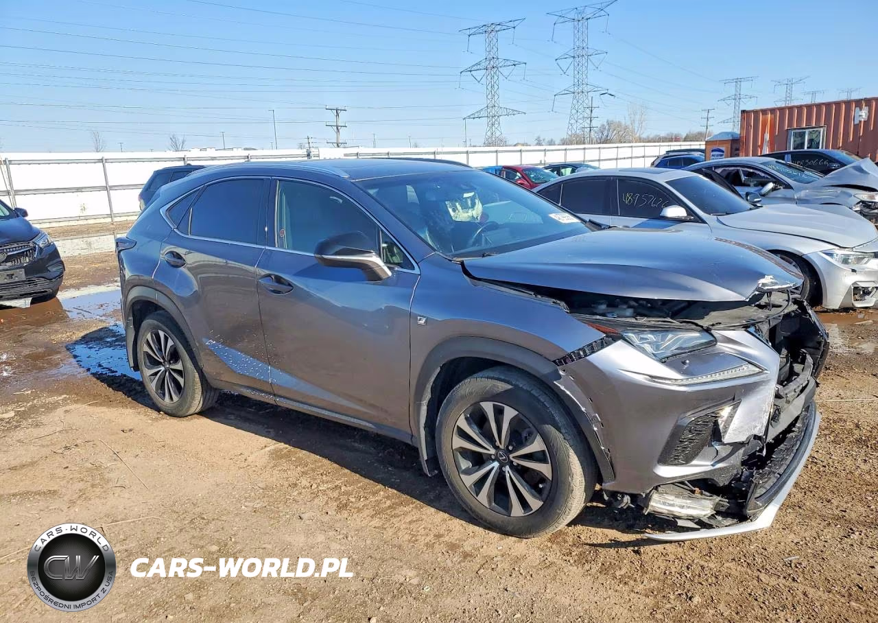 2018 Lexus Nx 300 Base VIN:JTJBARBZ3J2152752 - 4
