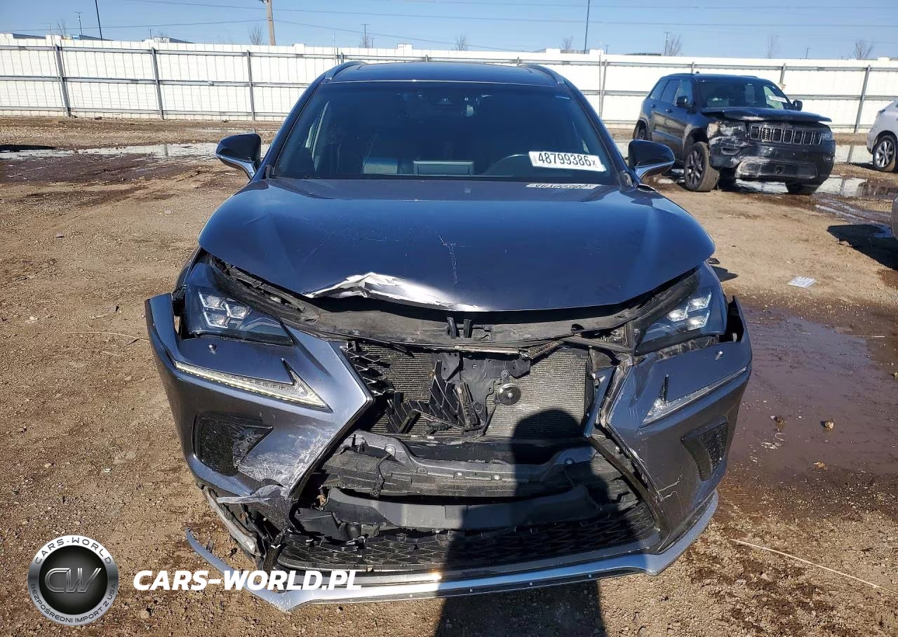 2018 Lexus Nx 300 Base VIN:JTJBARBZ3J2152752 - 5