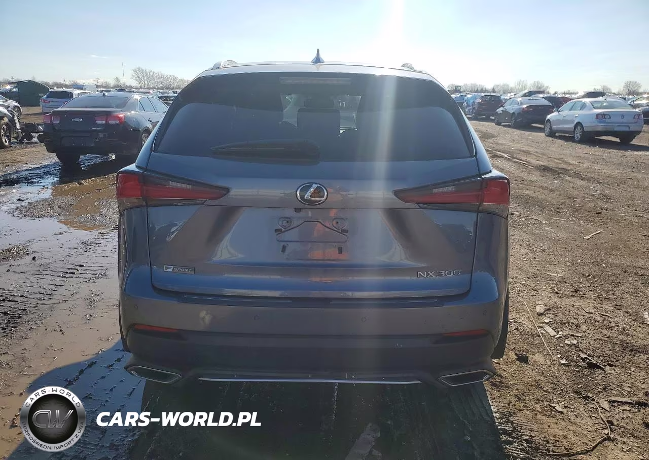 2018 Lexus Nx 300 Base VIN:JTJBARBZ3J2152752 - 6