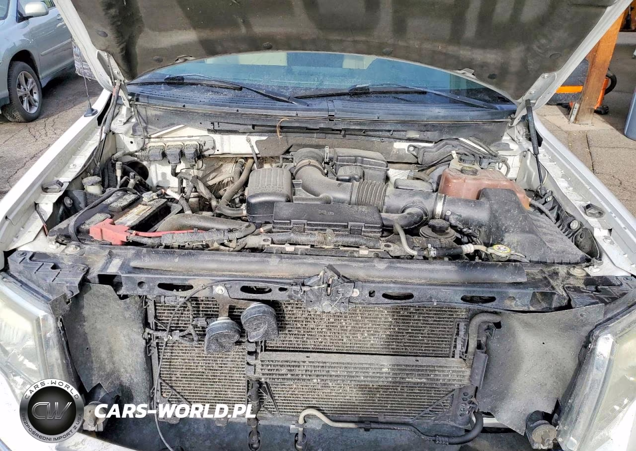 2010 Ford F150 Supercrew VIN:1FTFW1EV0AKB36573 - 11