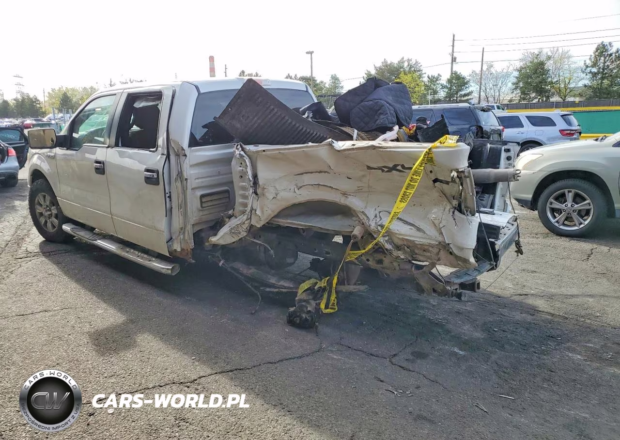 2010 Ford F150 Supercrew VIN:1FTFW1EV0AKB36573 - 2