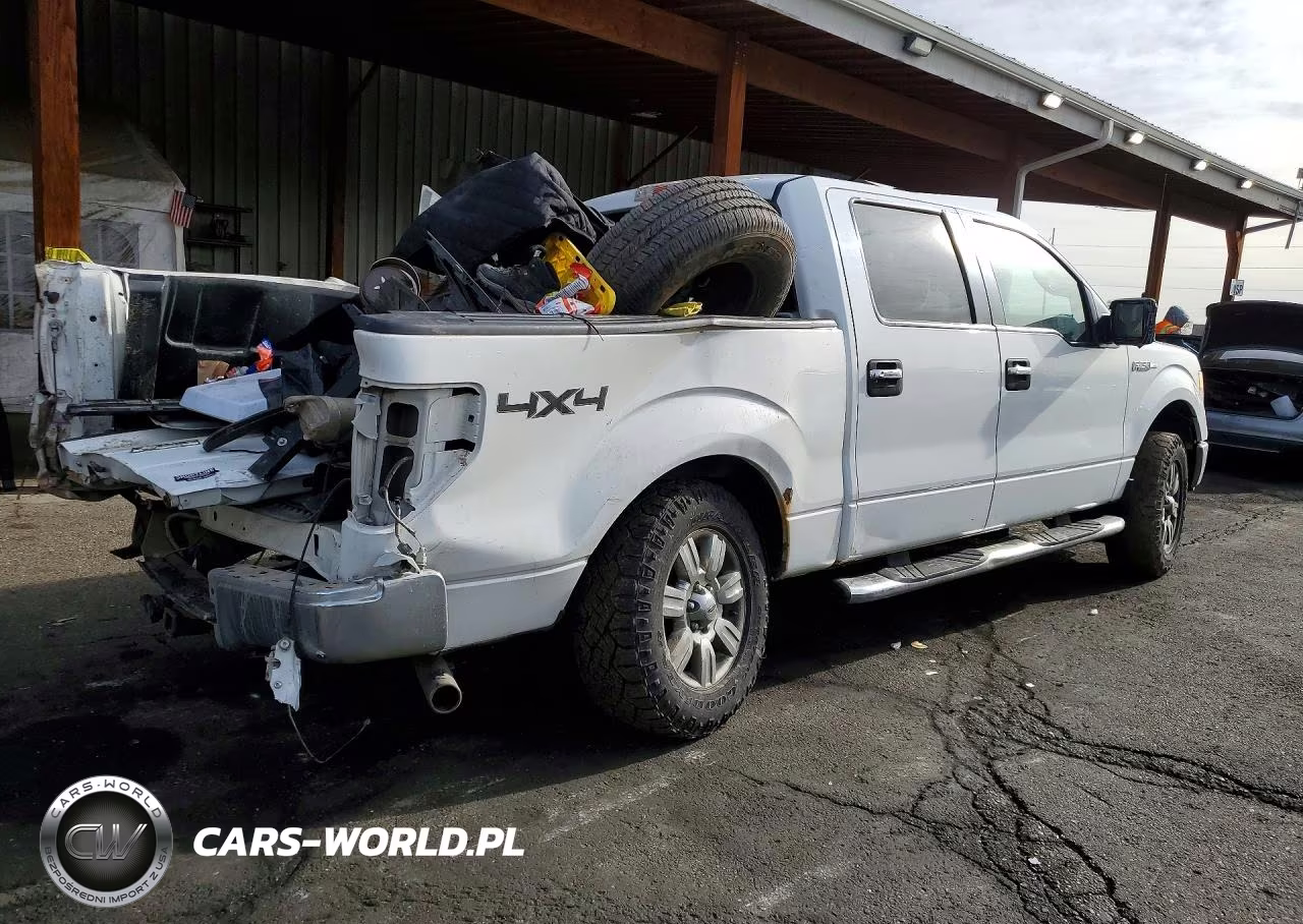 2010 Ford F150 Supercrew VIN:1FTFW1EV0AKB36573 - 3