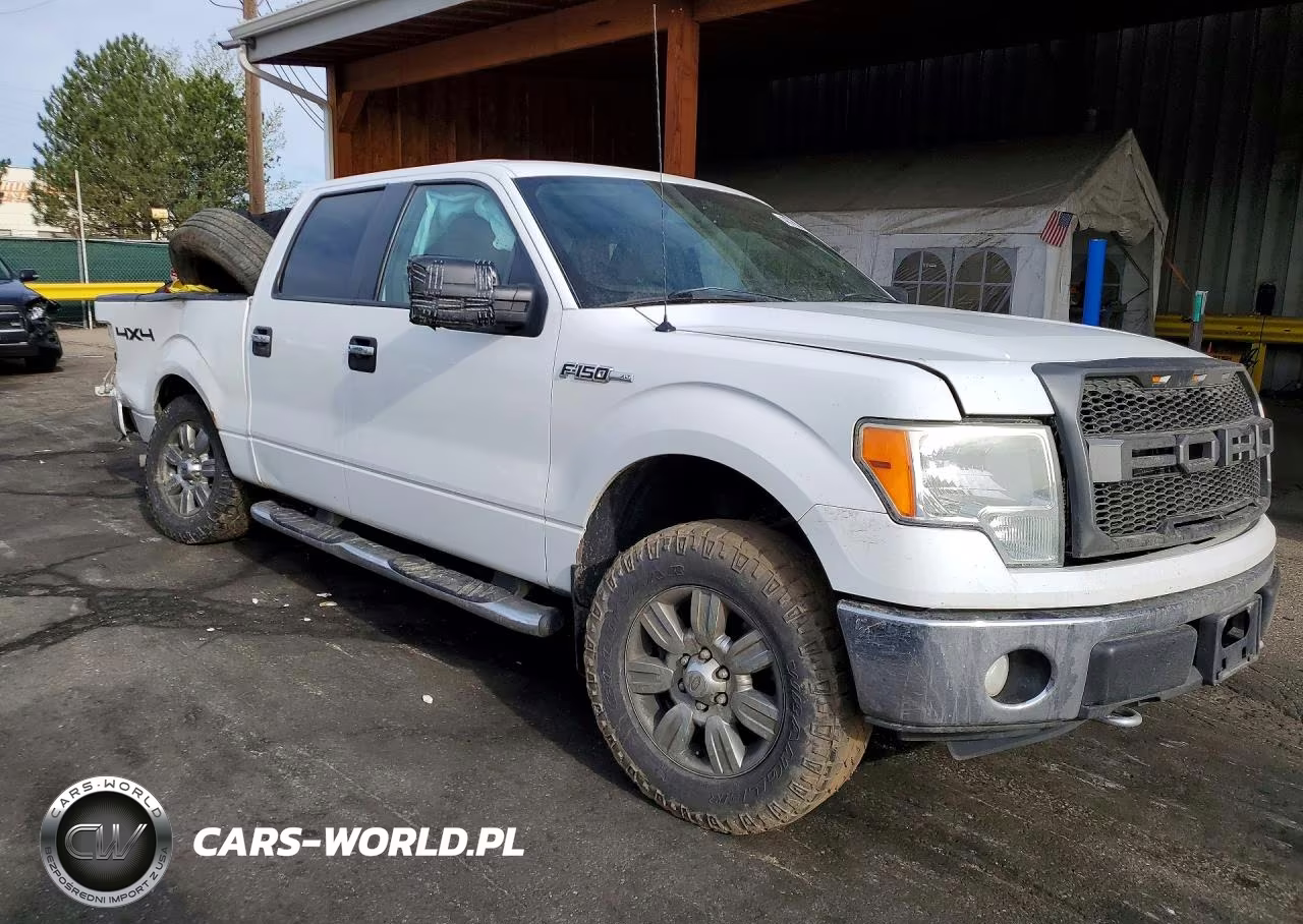 2010 Ford F150 Supercrew VIN:1FTFW1EV0AKB36573 - 4