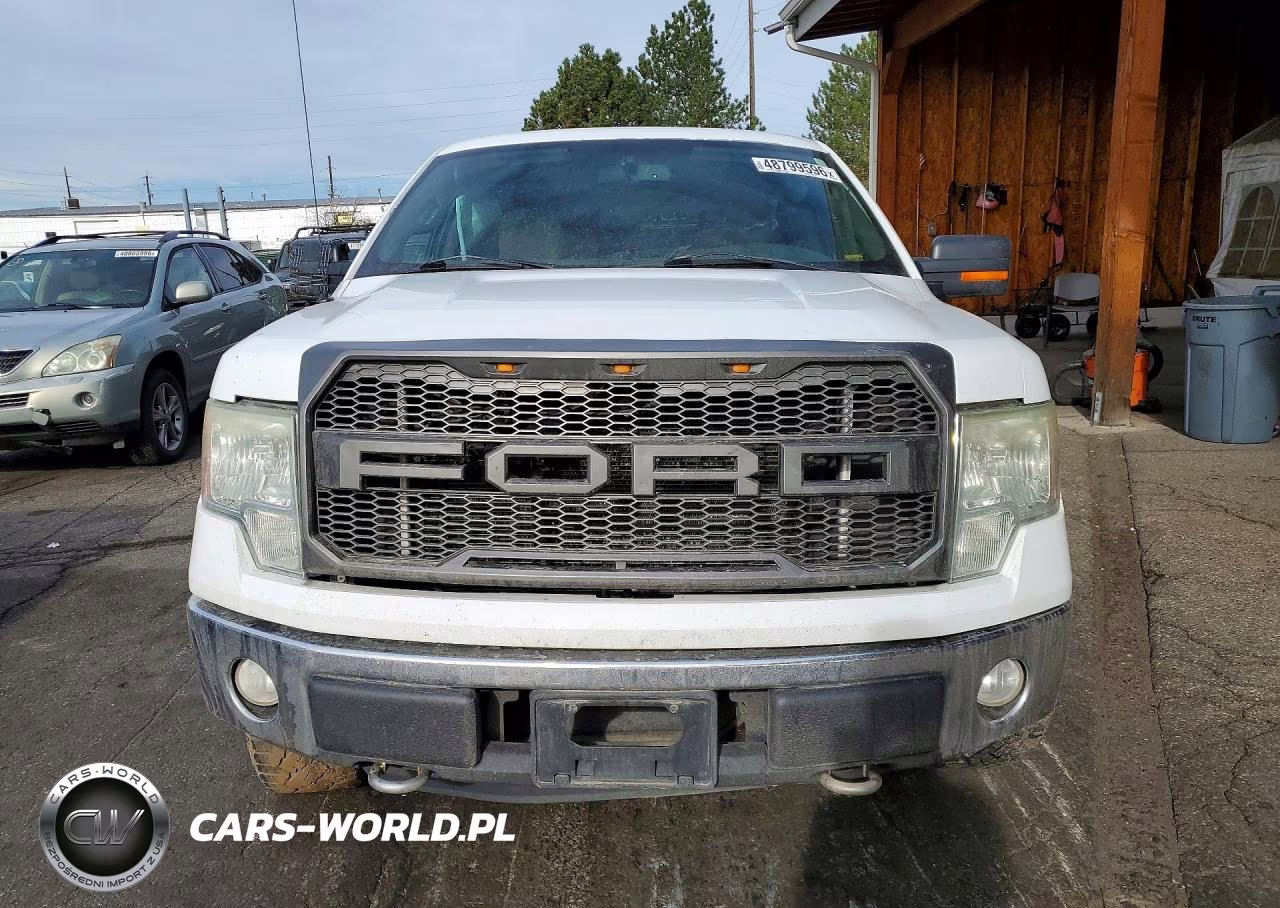 2010 Ford F150 Supercrew VIN:1FTFW1EV0AKB36573 - 5
