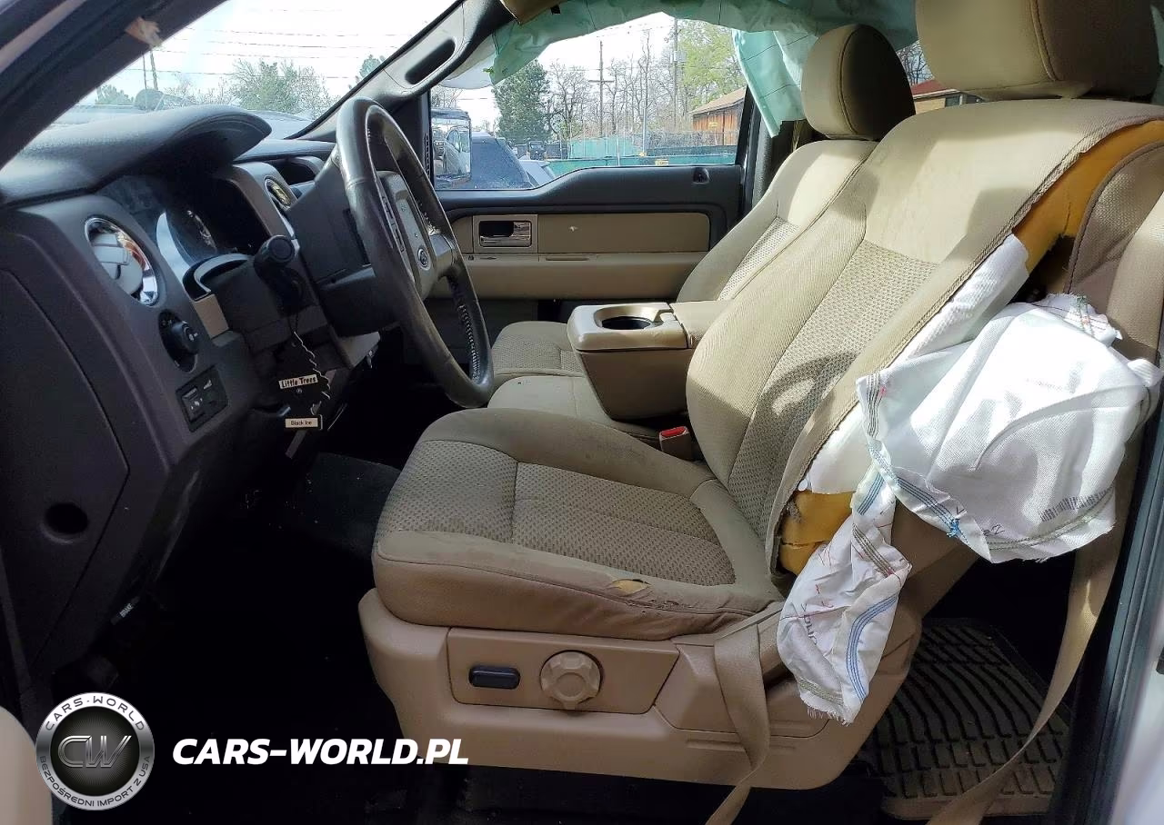 2010 Ford F150 Supercrew VIN:1FTFW1EV0AKB36573 - 7